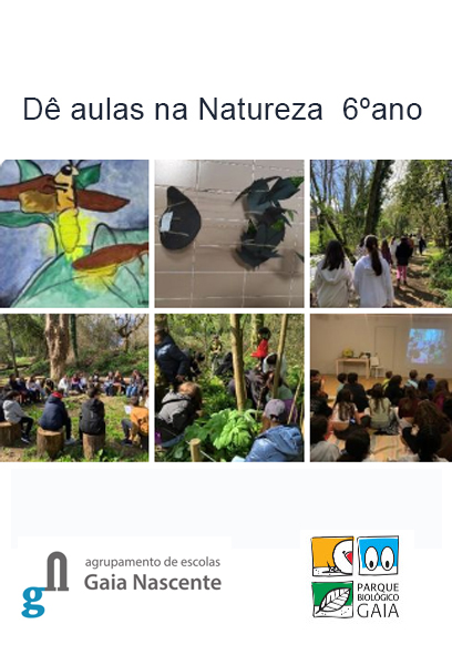 Agrupamento de Escolas Gaia Nascente