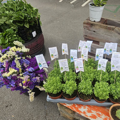 Feira das Flores no Sardão