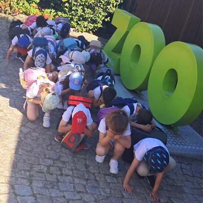 Visita de Estudo do 1.º Ano de Vilar ao Zoo de Santo Inácio